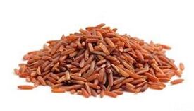 bijirin untuk pankreatitis